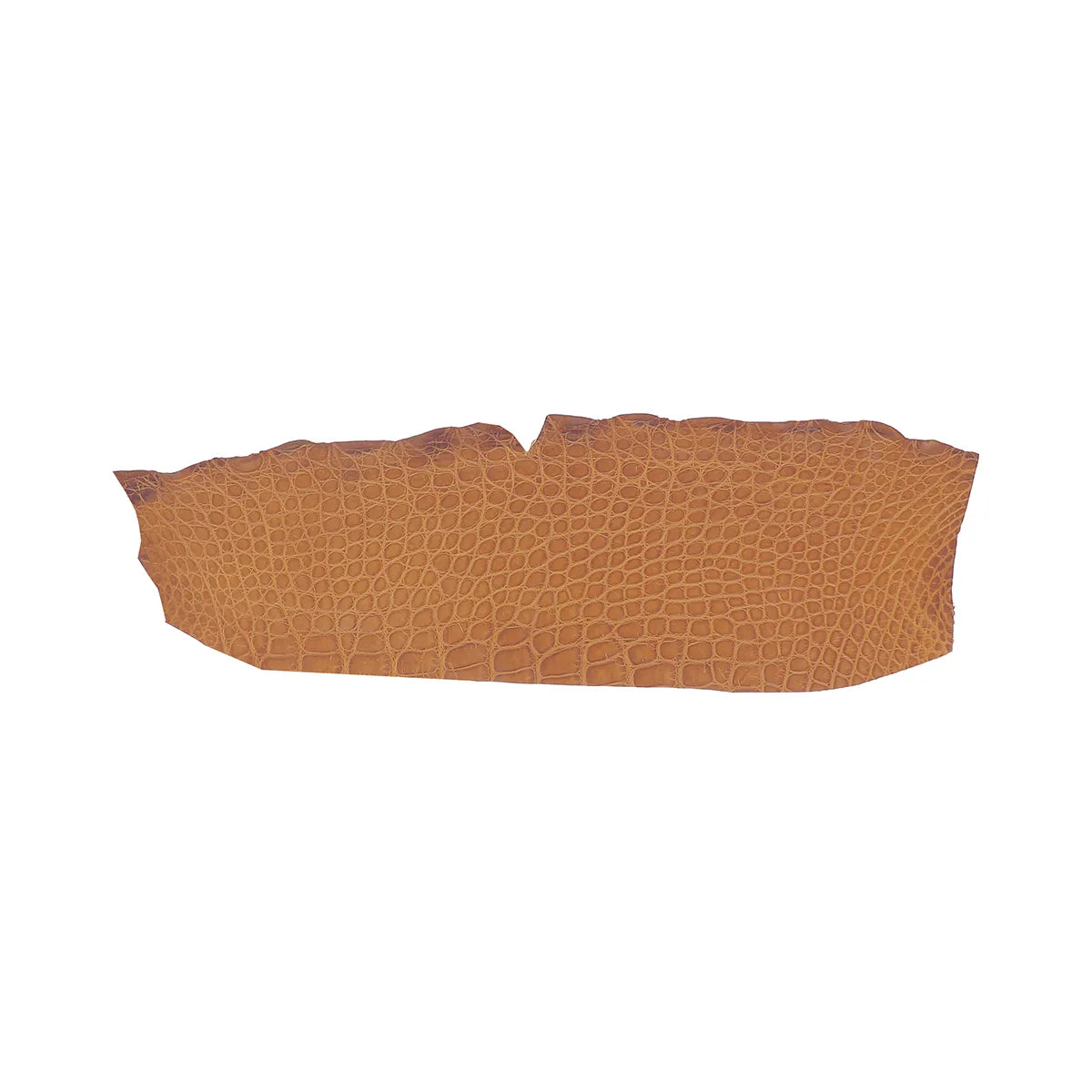 Petite découpe de cuir d'alligator mate couleur cognac
