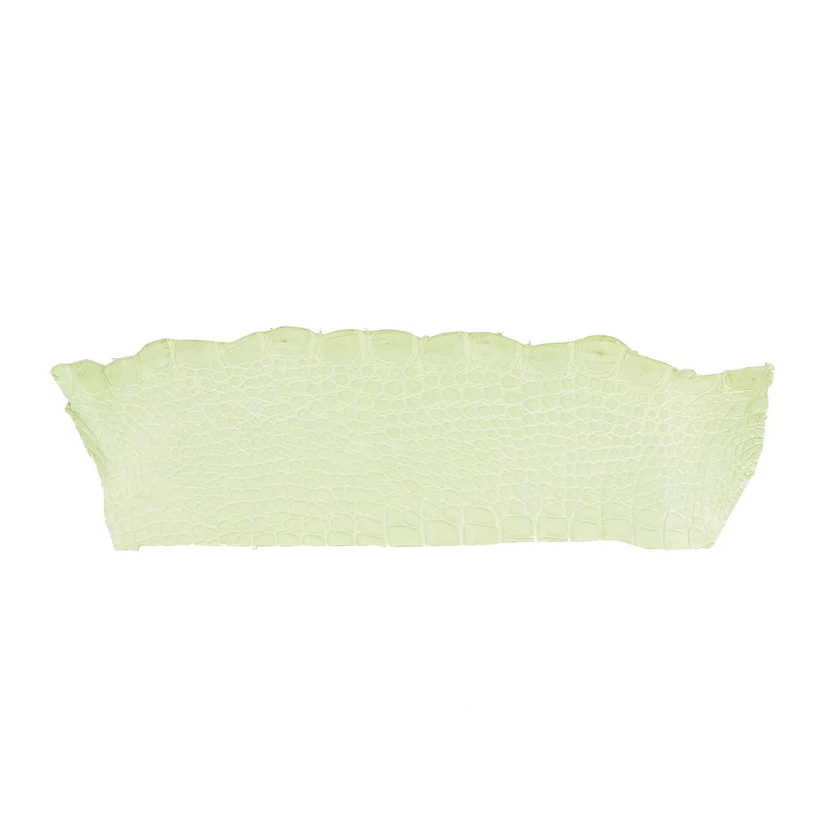 Cuir de crocodile vert clair en finition mate. Cuir d'alligator idéal pour créer des bijoux, bracelets de montre, maroquinerie...