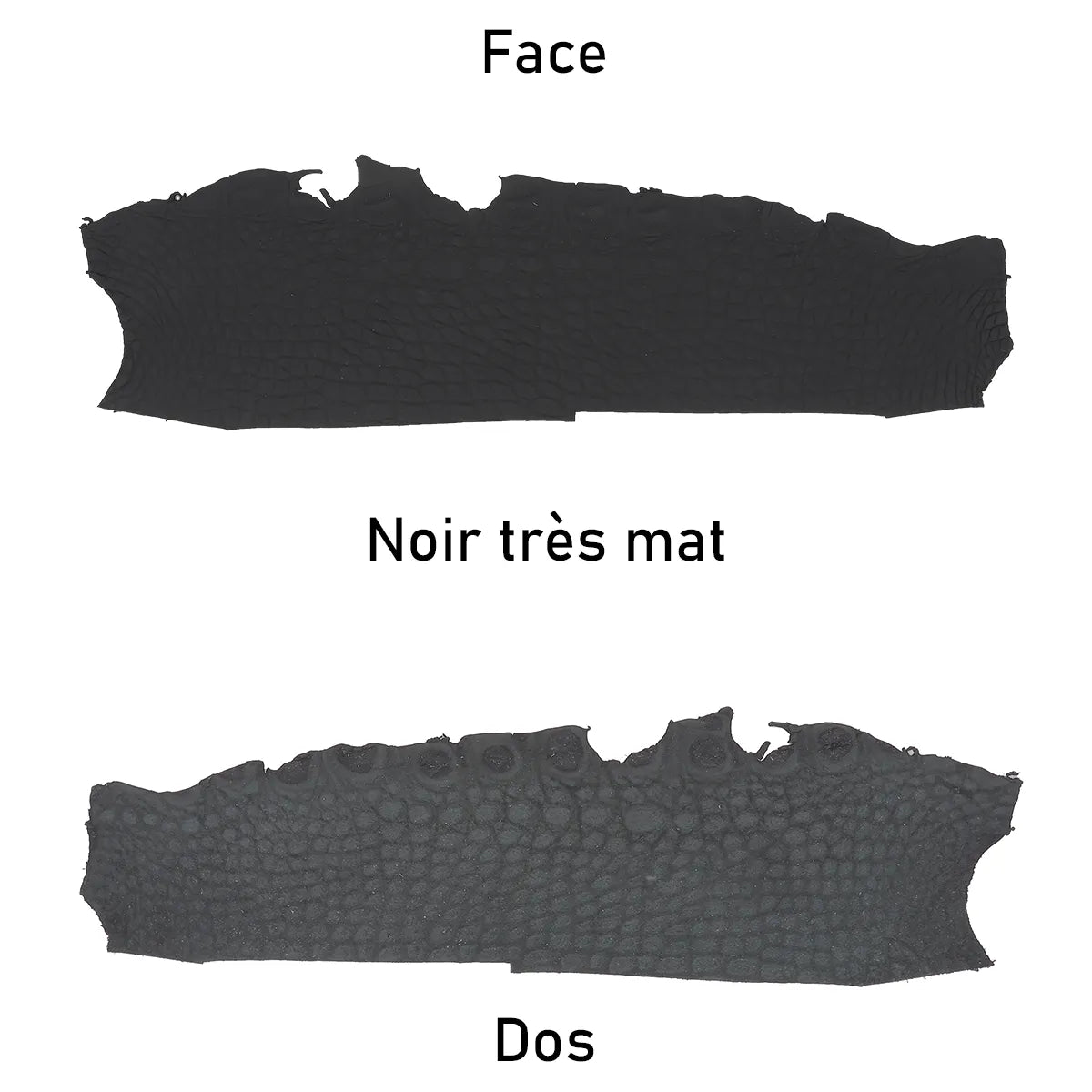 Morceau de cuir d'alligator couleur noir finition très mate. Matière ferme avec écailles pour des créations originales.