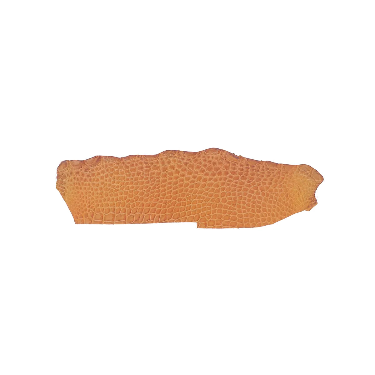 Découpe de flanc de cuir d'alligator marron caramel à la finition mate. Cuir à écailles idéal pour la réalisation de bijoux et petite maroquinerie