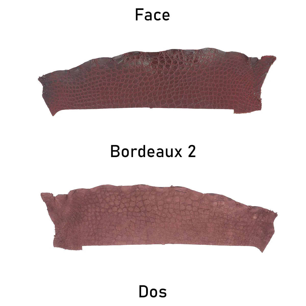 Cuir d'alligator rouge bordeaux finition mate vue de face et de dos. Cuir ferme idéal pour des réalisations originales