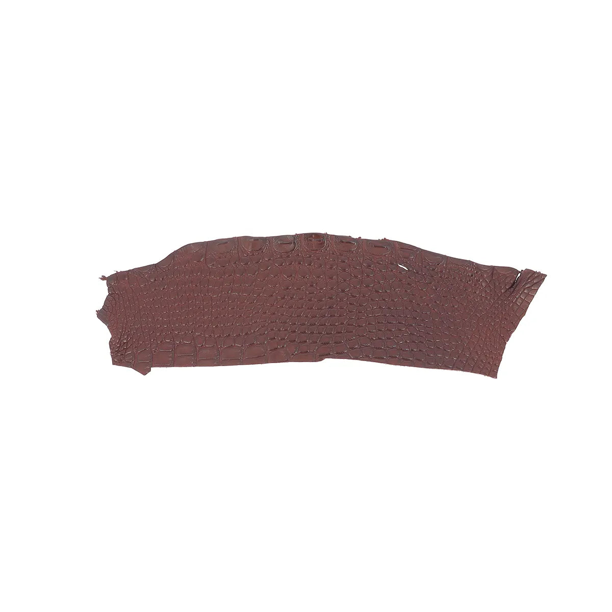 Petite découpe de flanc de cuir d'alligator couleur bordeaux en finition mate