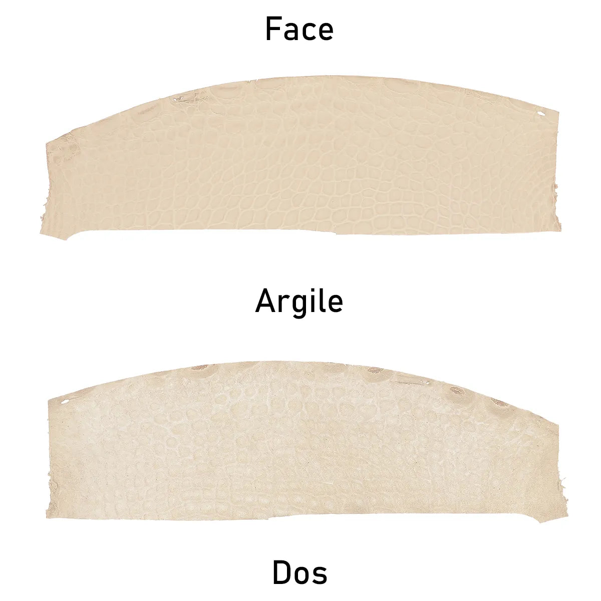 Flanc d'alligator beige argile en finition mate avec vue de face et vue de dos. Disponible en deux tailles