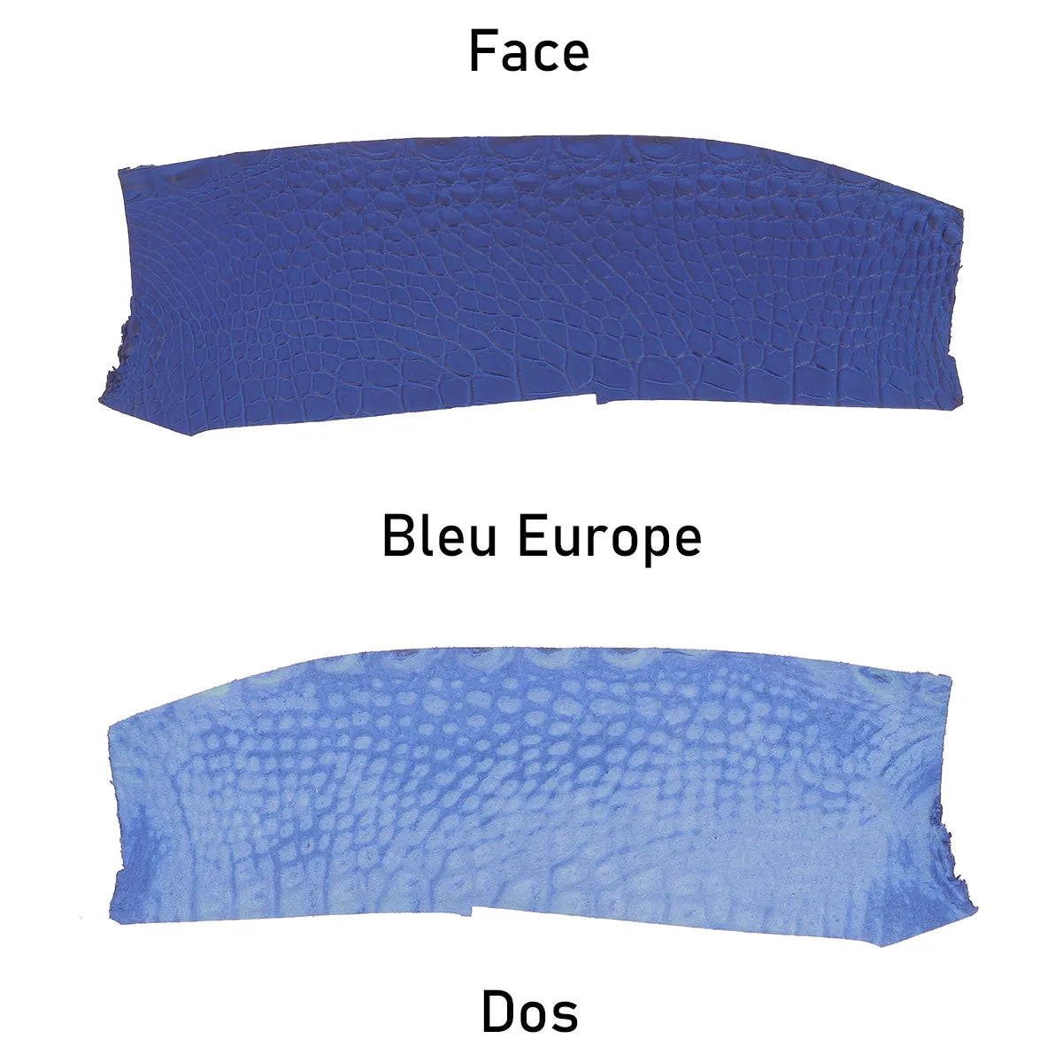 Cuir exotique bleu marine. Flanc de cuir exotique pour création haut de gamme