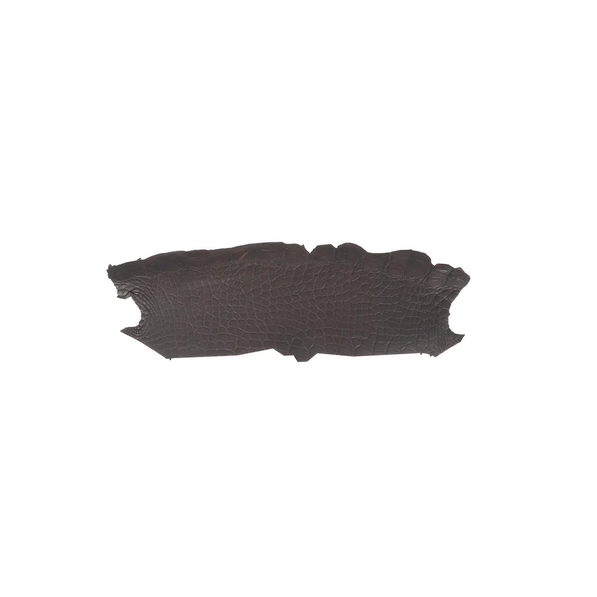 Petit flanc de cuir d'alligator marron chocolat. Cuir d'alligator pour la fabrication de bijoux, bracelet de montre, porte-clés et petite maroquinerie