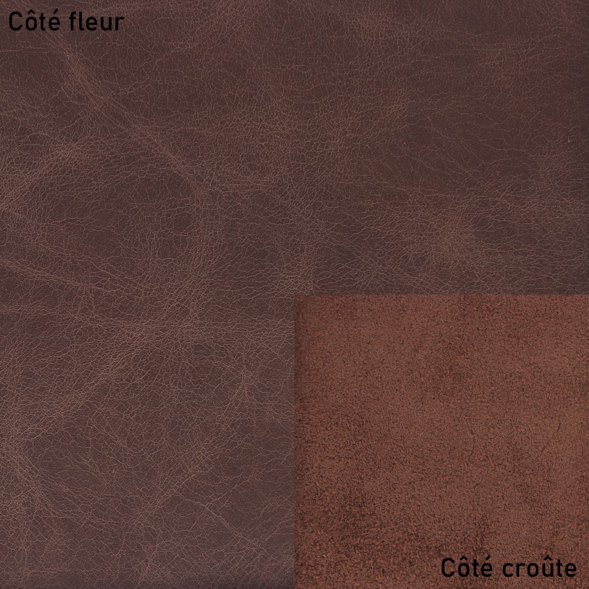 Cuir italien - peau complète - Red Point Cuir italien - peau complète - Red Point