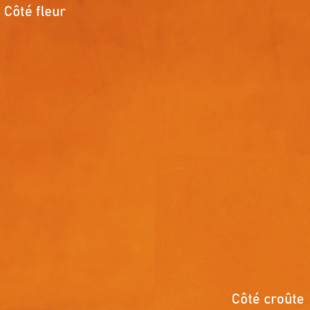 Collet tannage végétal NIAGARA - Radermecker - COGNAC