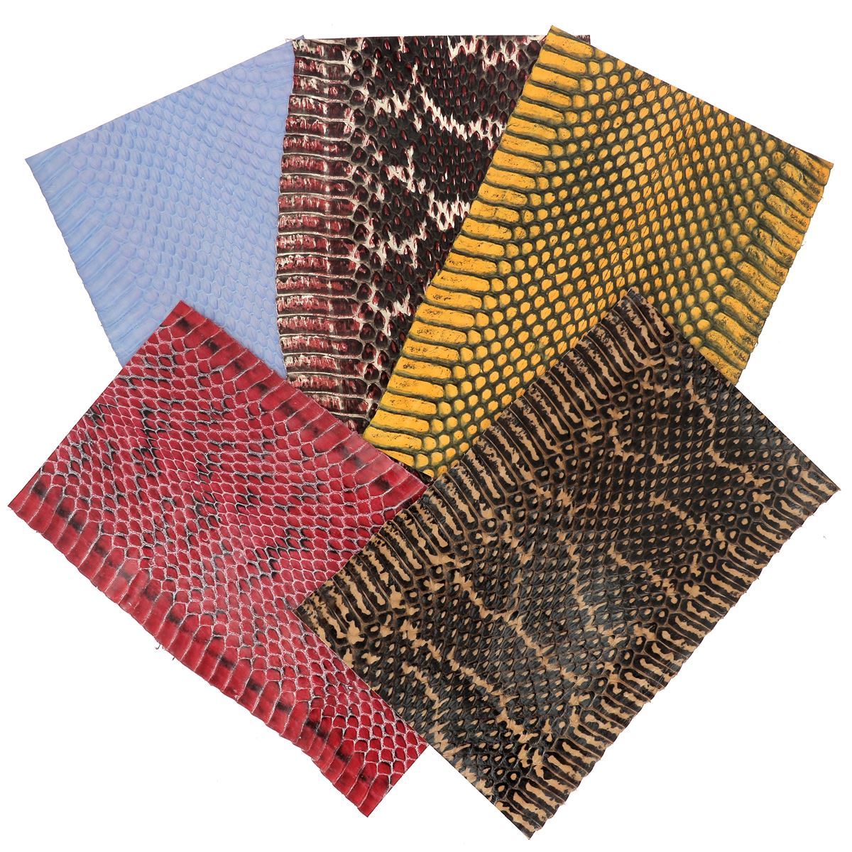 Lot SURPRISE de 5 morceaux de cuir de serpent - DIVERS - Longueur 20cm