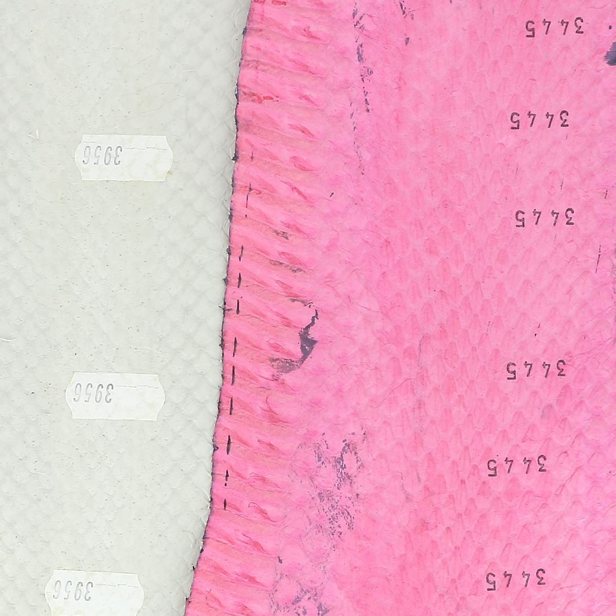 Lot SURPRISE de 5 morceaux de cuir de serpent - DIVERS - Longueur 20cm