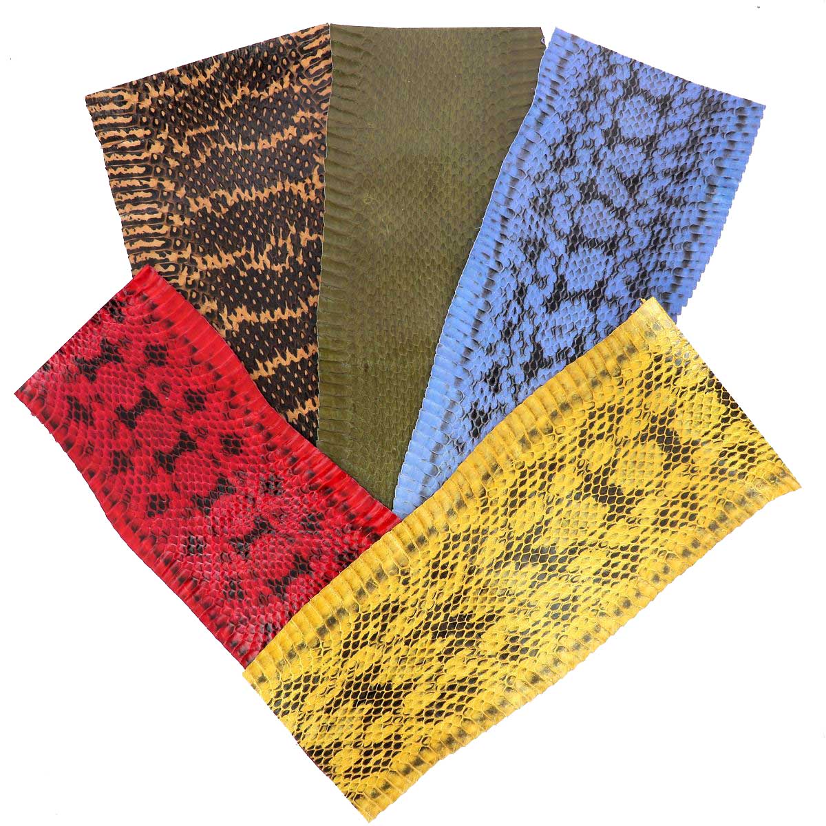 Lot de 5 morceaux de cuir de serpent Élaphe, 30cm, couleurs variées, pour accessoires ou décoration.
