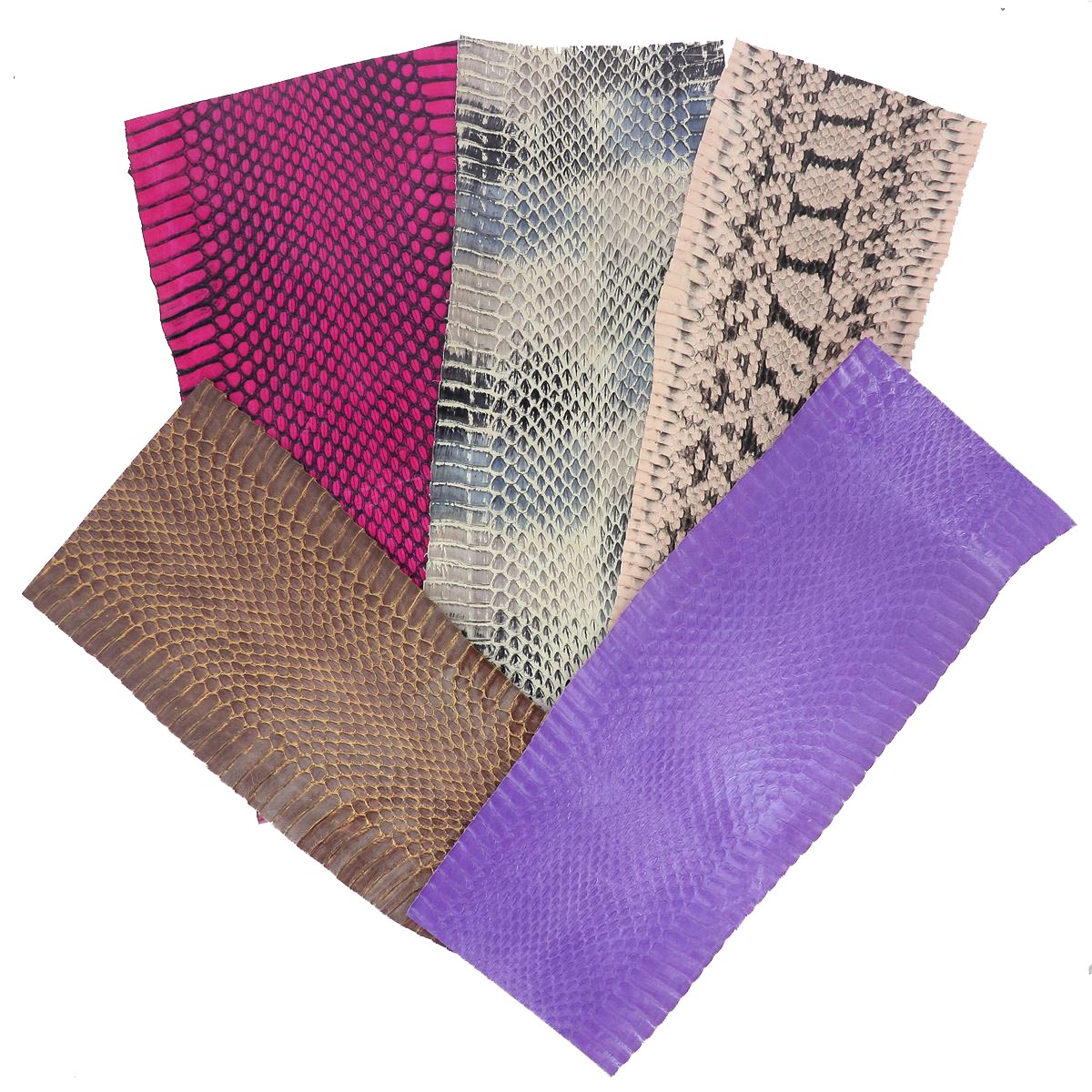Lot SURPRISE de 5 morceaux de cuir de serpent Élaphe - COULEURS DIVERSES - Longueur 30cm