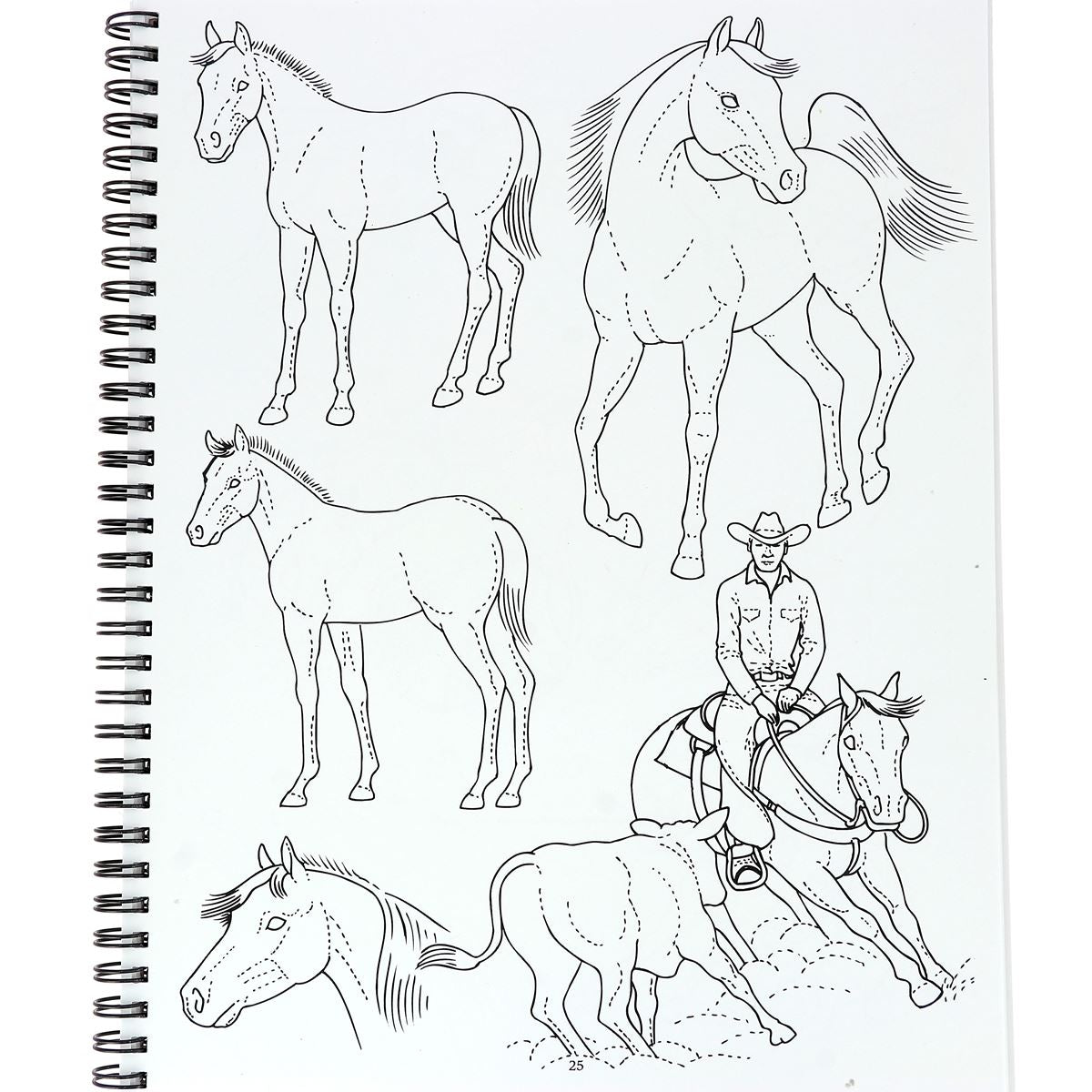 Portfolio des modèles personnels d'Al et Ann Stohlman - Volume 1 - Chevaux et cowboy