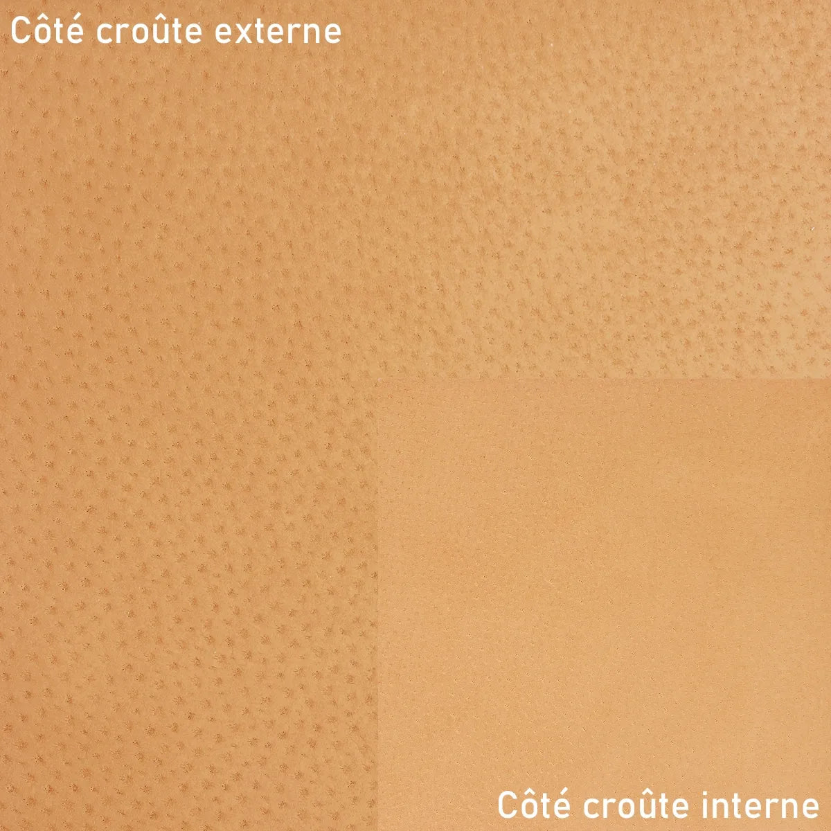 Peau de croûte de cuir de porc glacé camel idéal pour la doublure et la réalisation de décoration et de gainage.