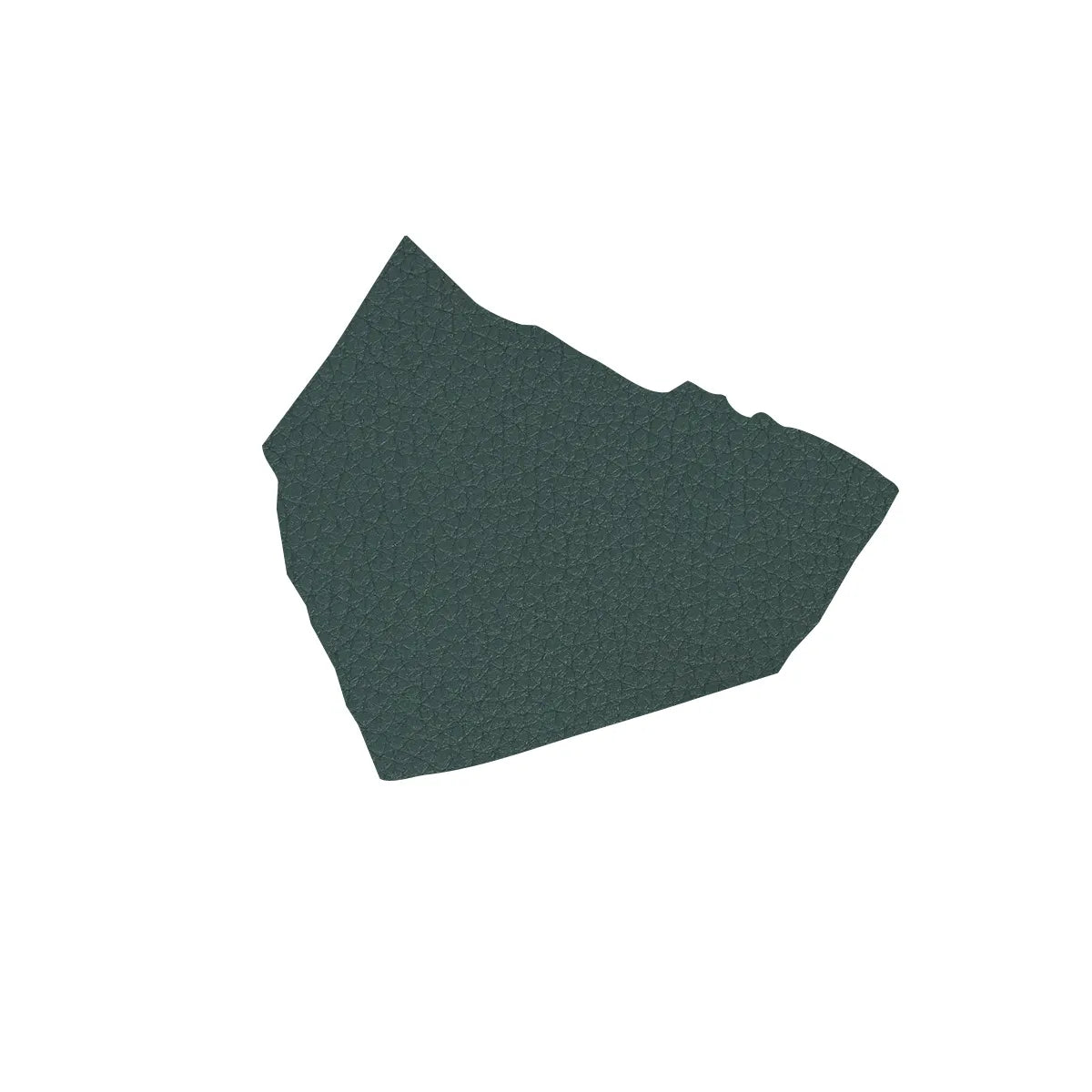 échantillon test cuir de vachette grainé - VERT CANARD W38