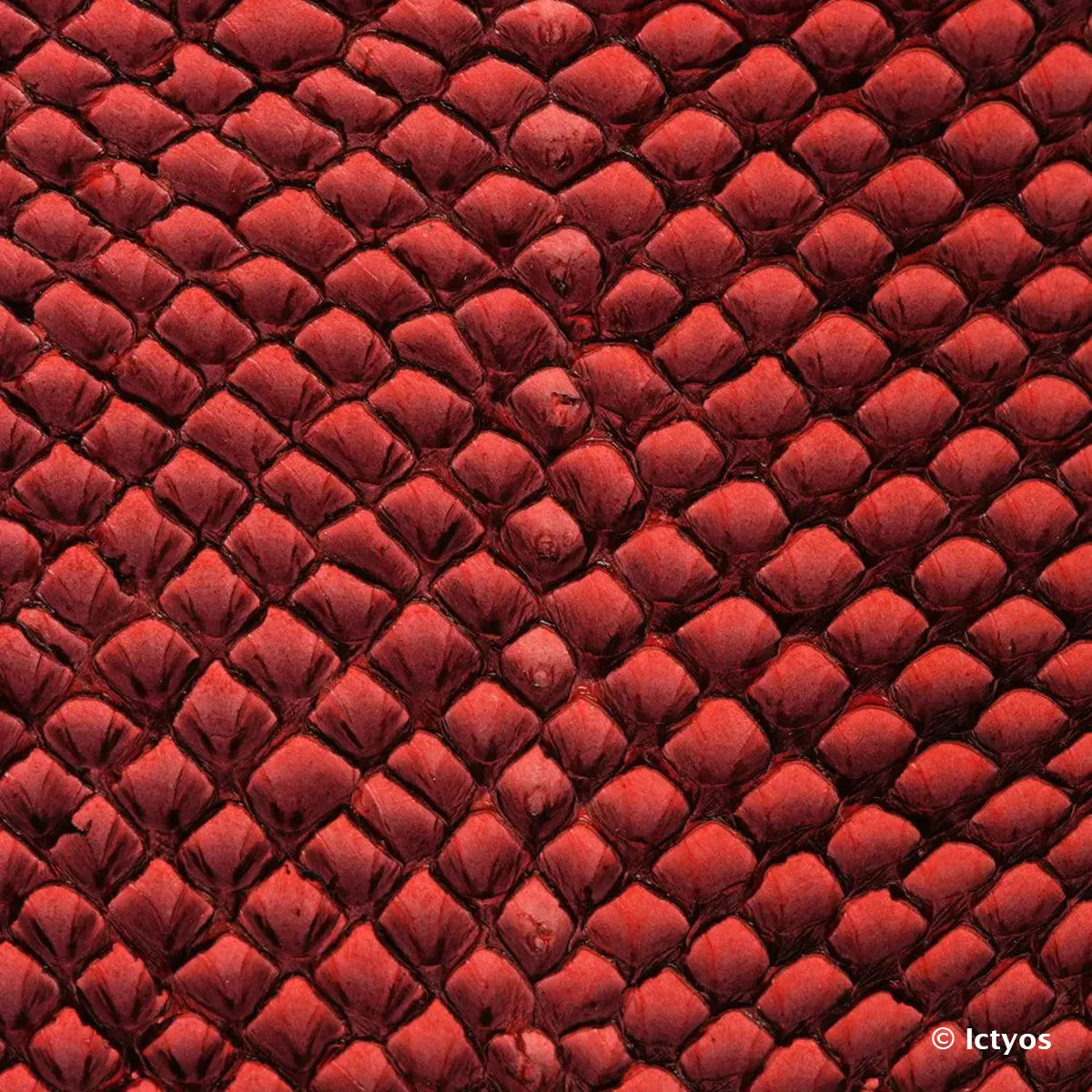 Cuir de poisson couleur rouge finition dégradée. Cuir de saumon de la gamme Squama de la tannerie Ictyos en France