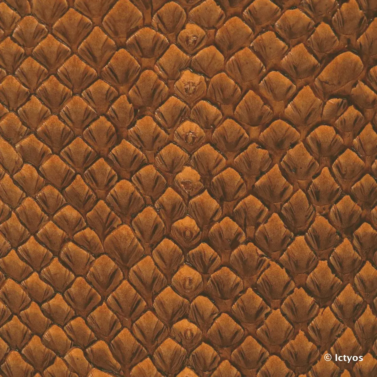 Cuir de poisson aux écailles de saumon couleur marron orangé. Cuir de saumon idéal pour la confection d'horlogerie, maroquinerie, gainerie...