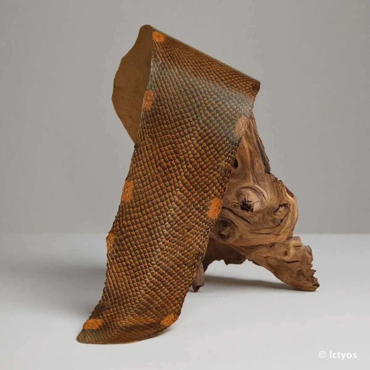 Cuir de saumon dégradé couleur marron sierra de la tannerie Française Ictyos.