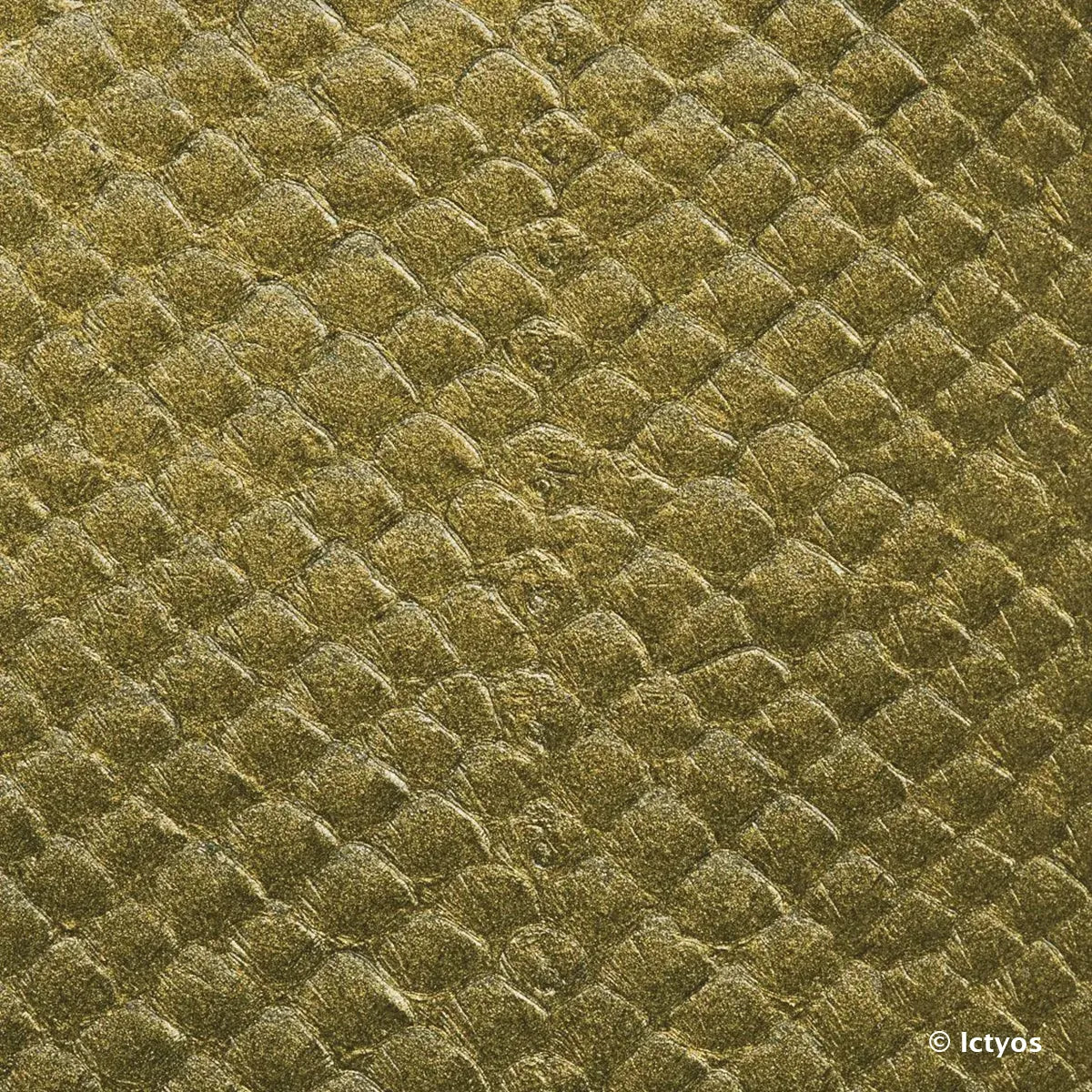 Cuir de saumon métallisé doré aux écailles et à la peau très souple. Cuir marin idéal pour la création de bracelet de montre, gainerie, maroquinerie...