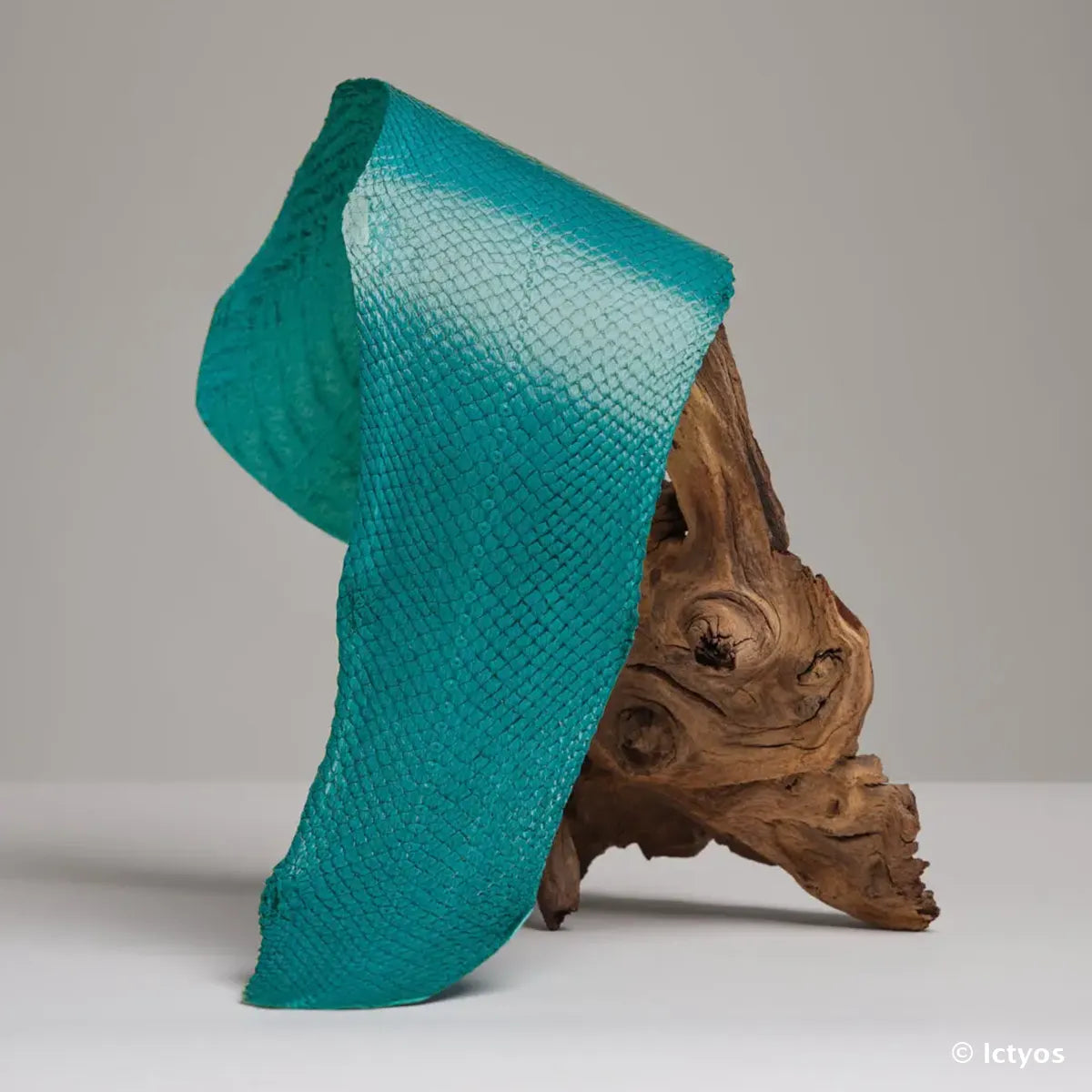 Cuir de saumon de la gamme Squama de la tannerie Ictyos. Cuir de poisson idéal pour la création d'horlogerie, ornement, gainerie, accessoire haut de gamme