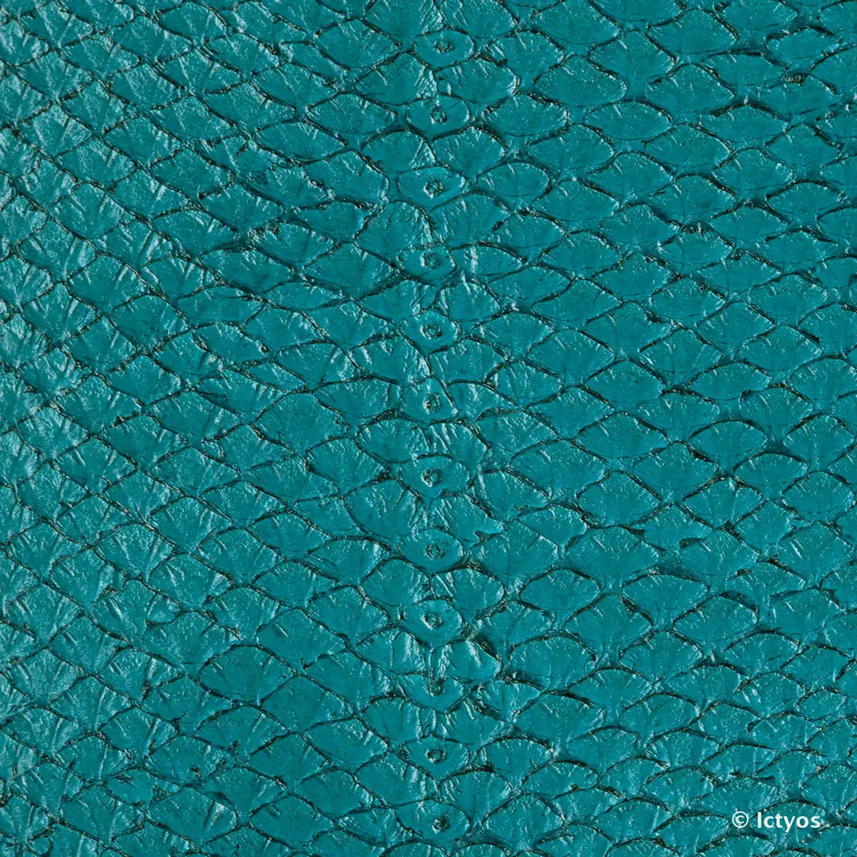 Cuir de poisson de saumon bleu turquoise. Cuir à écaille brillant, souple et fin idéal pour la création d'horlogerie, ornement, gainerie...