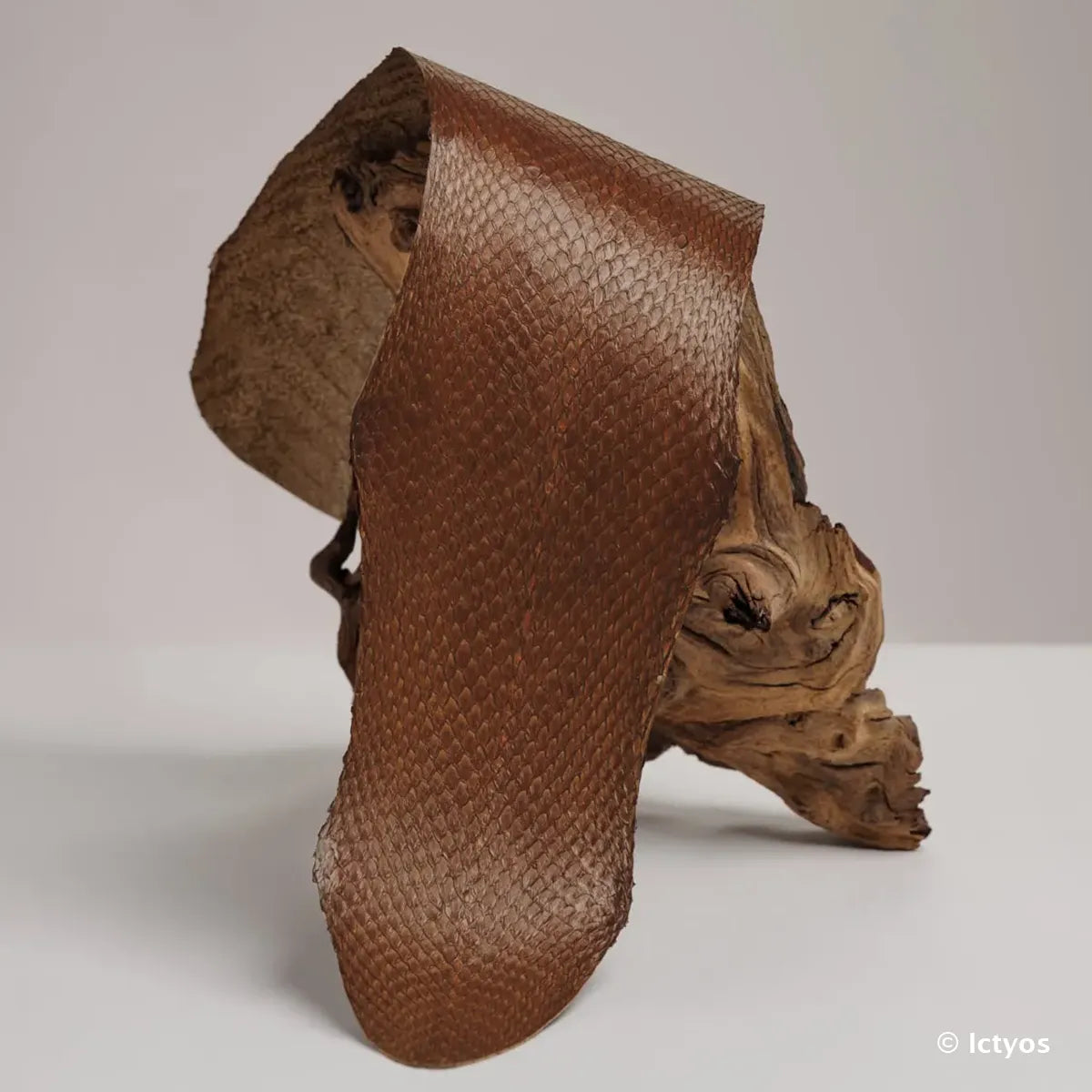 Cuir de saumon marron de la gamme Squama de la tannerie Ictyos. Cuir marin pour création de bracelet de montre, ornement, maroquinerie...