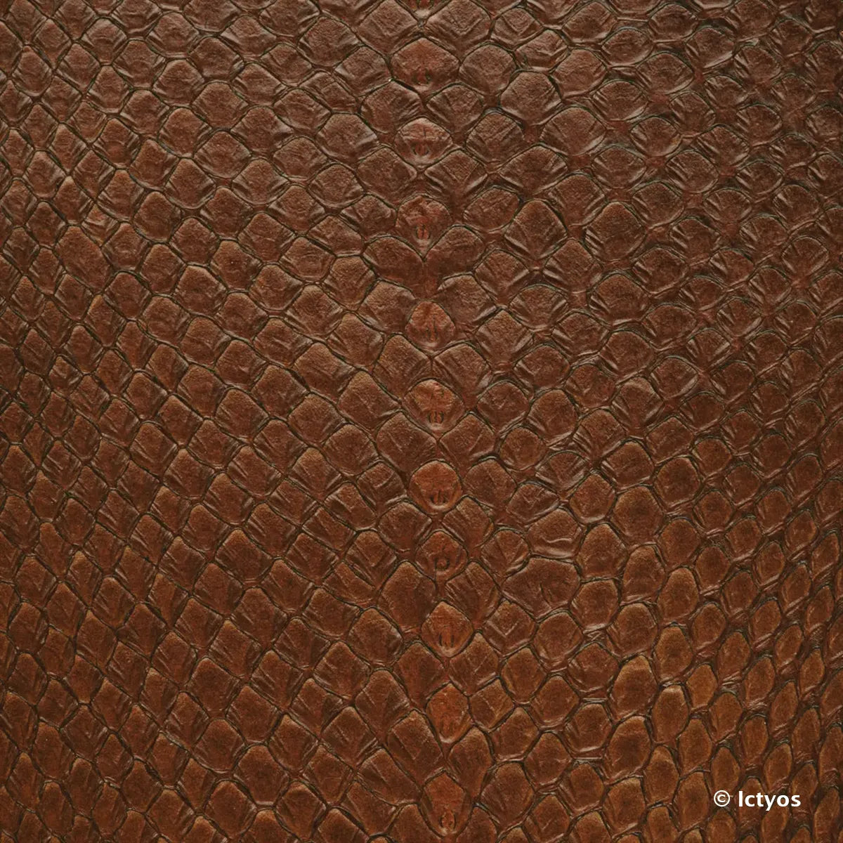 Cuir à écailles de saumon marron tourbe. Cuir de poisson finition brillante pour réaliser des bijoux, bracelets de montre...
