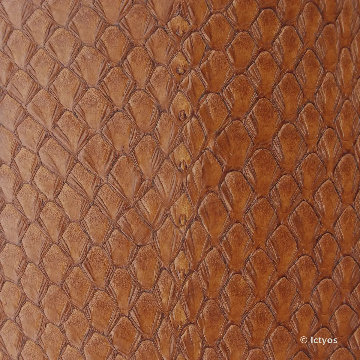 Cuir de saumon aux écailles marron clair