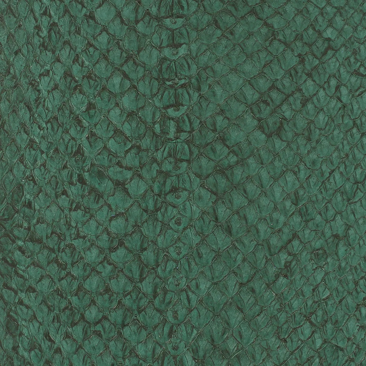 Écailles de cuir de saumon couleur vert anglais, cuir de poisson idéal pour la confection d'article haut de gamme
