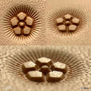 Matoir repoussage du cuir tannage végétal - Flower Center J305 - Oka Japon