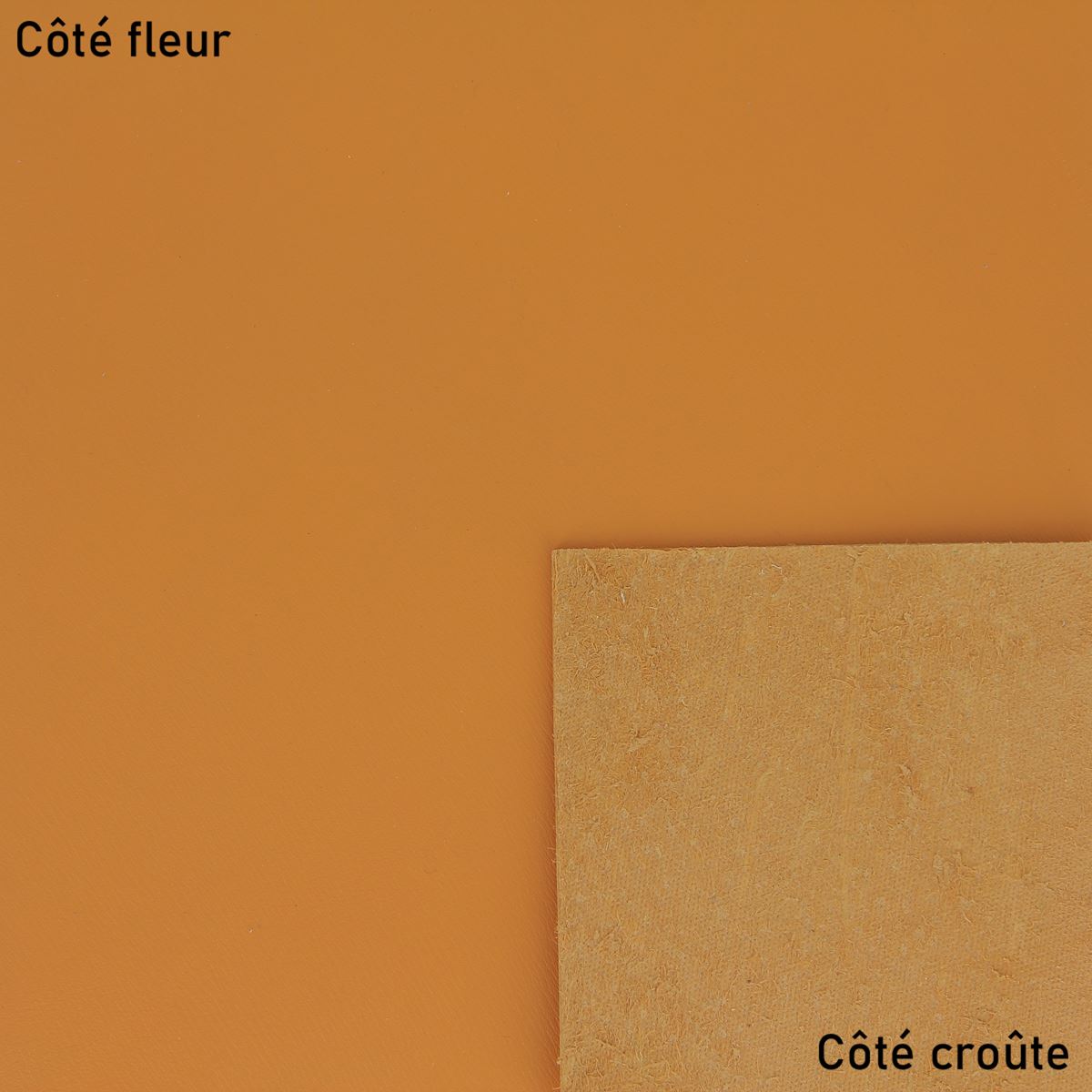 Peau de cuir de veau DIVA - ORANGE F08