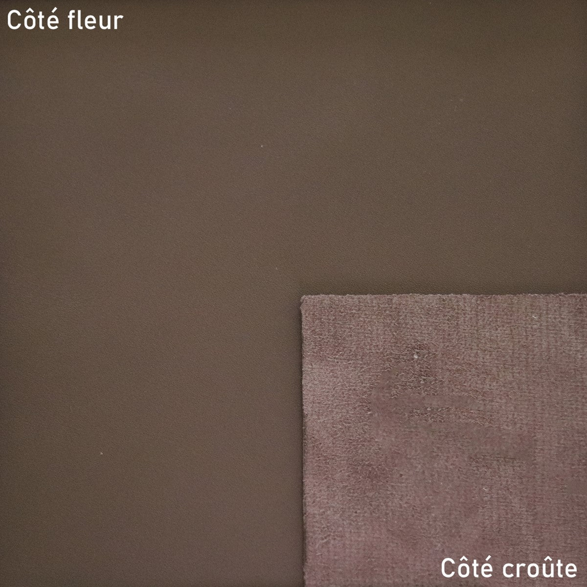 Peau de cuir de veau lisse - TAUPE