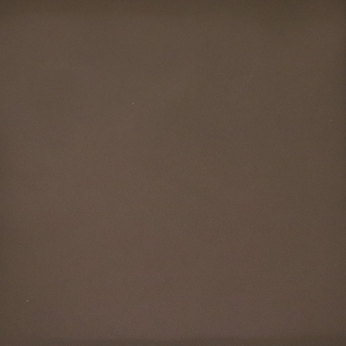 Peau de cuir de veau lisse - TAUPE