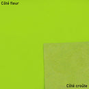 Peau de cuir de vachette SUAVE - VERT  FLUO J82 - Deco Cuir