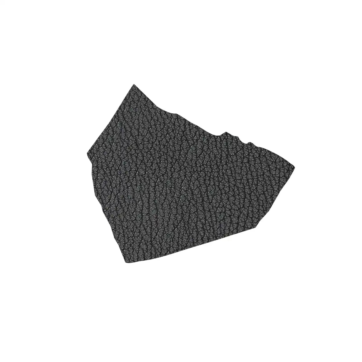 Echantillon de cuir de chèvre noir grainé LPJ99