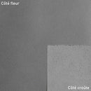 Peau de cuir de veau TÉO - ARGENT K10