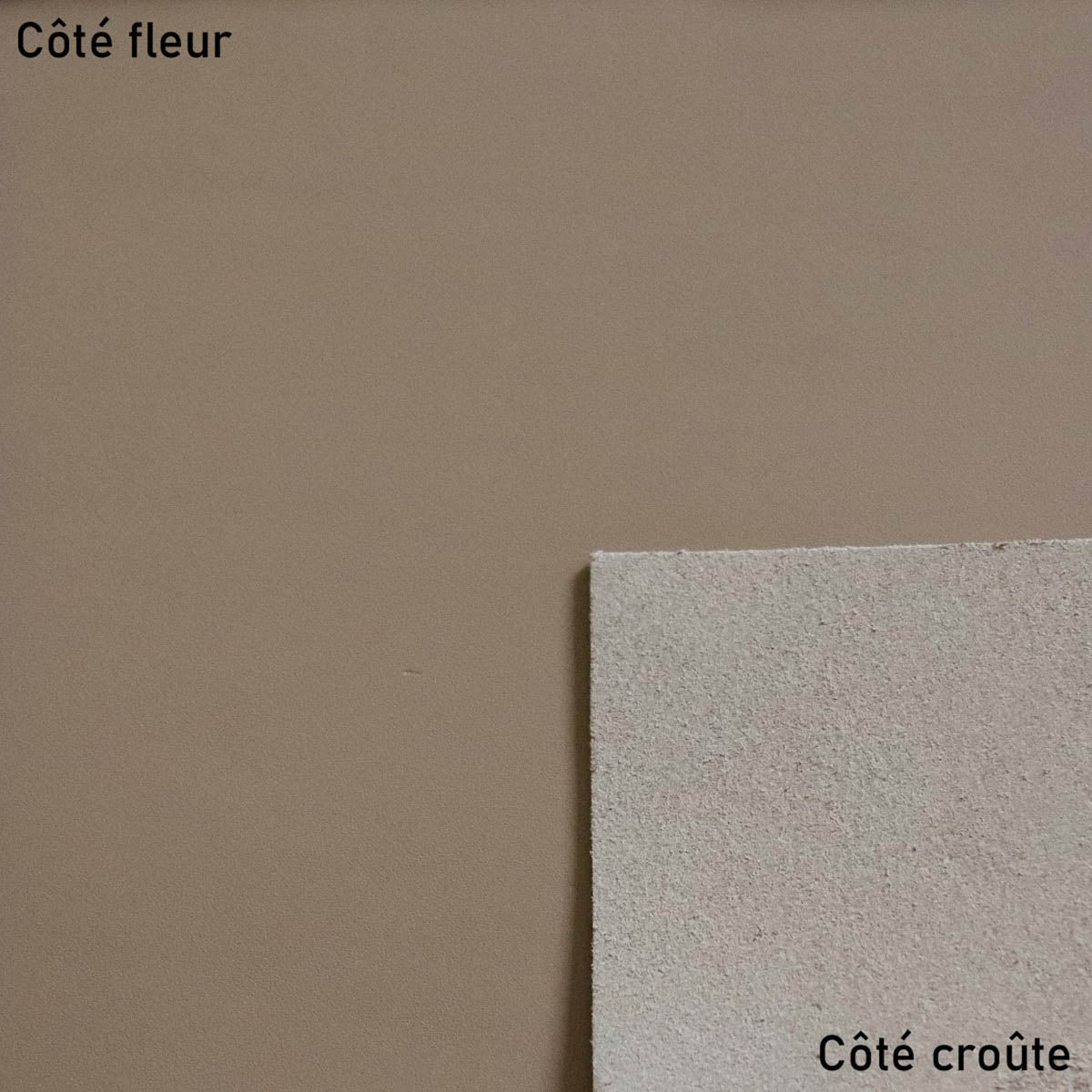 Morceau de cuir de vachette SATINATO - CAFÉ AU LAIT K41