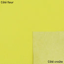 Peau de cuir de veau lisse - JAUNE K42 - Deco Cuir