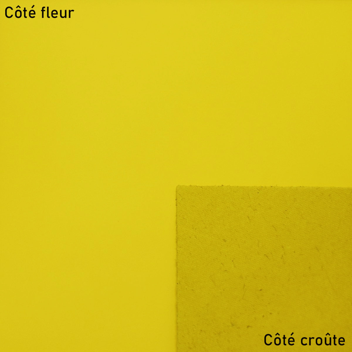 Peau de cuir de vachette SATINATO - JAUNE L49