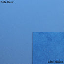 Morceau de cuir de vachette PLAYA - BLEU L61