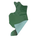Peau de croûte de cuir de verni - VERT M26