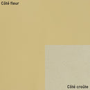 Morceau de cuir de vachette VENUS - SABLE M41