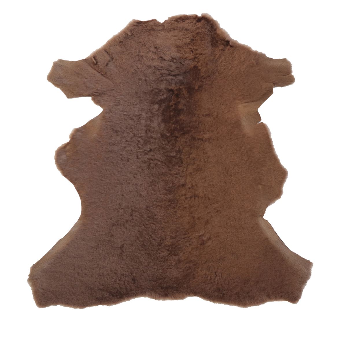 Peau de mouton lainé lisse - Dos pigmenté - BRUN M47
