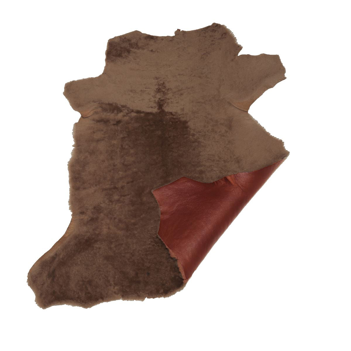 Peau de mouton lainé lisse - Dos pigmenté Brique - NOISETTE M50