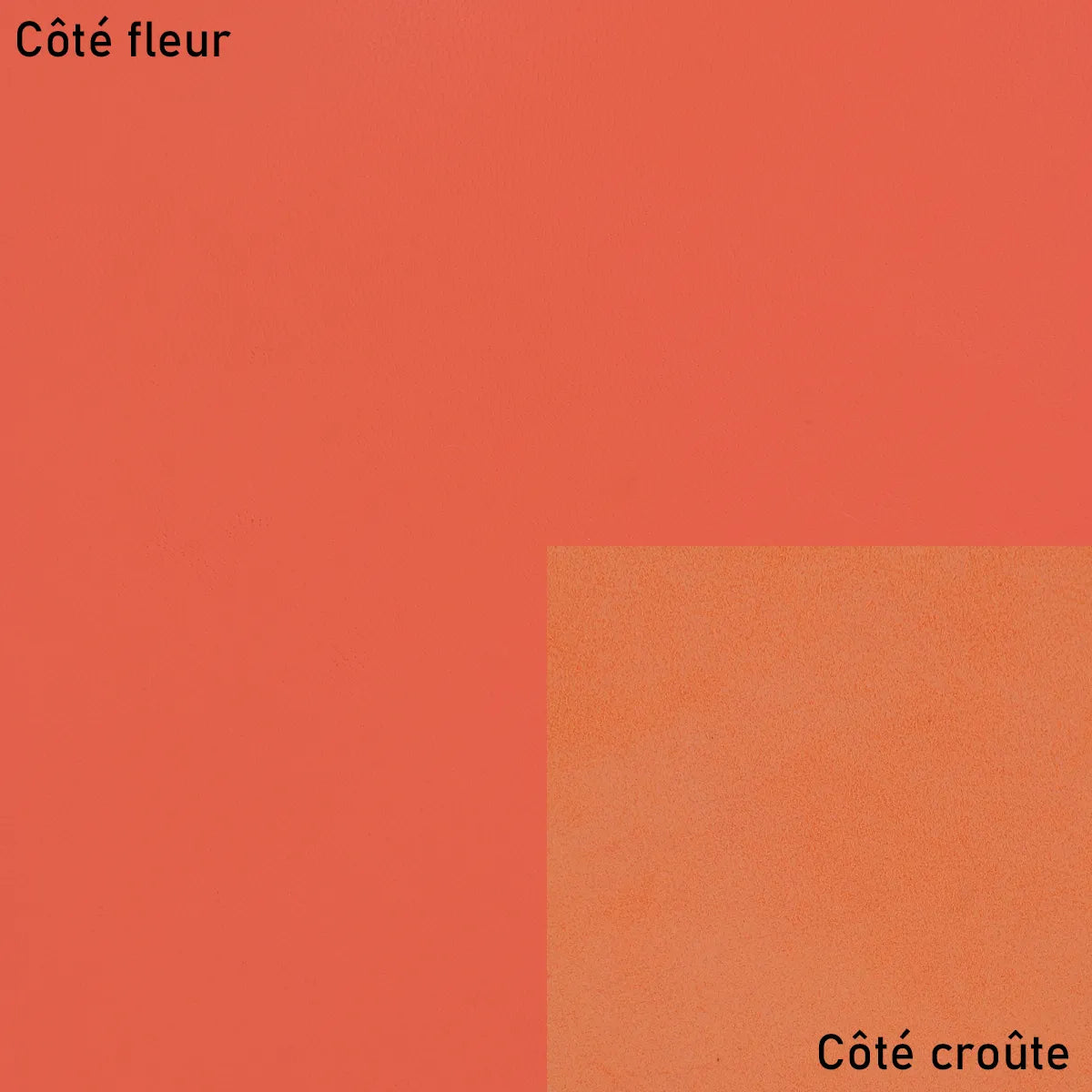 Peau de cuir lisse orange agneau