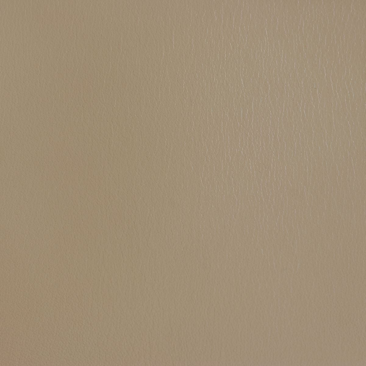 Peau de cuir de chèvre grainé - CAFÉ AU LAIT N19