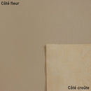 Peau de cuir de chèvre grainé - CAFÉ AU LAIT N19