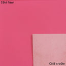 Peau de cuir de chèvre grainé Rose N22, texture fine et souple, vue en gros plan, matière élégante et douce.