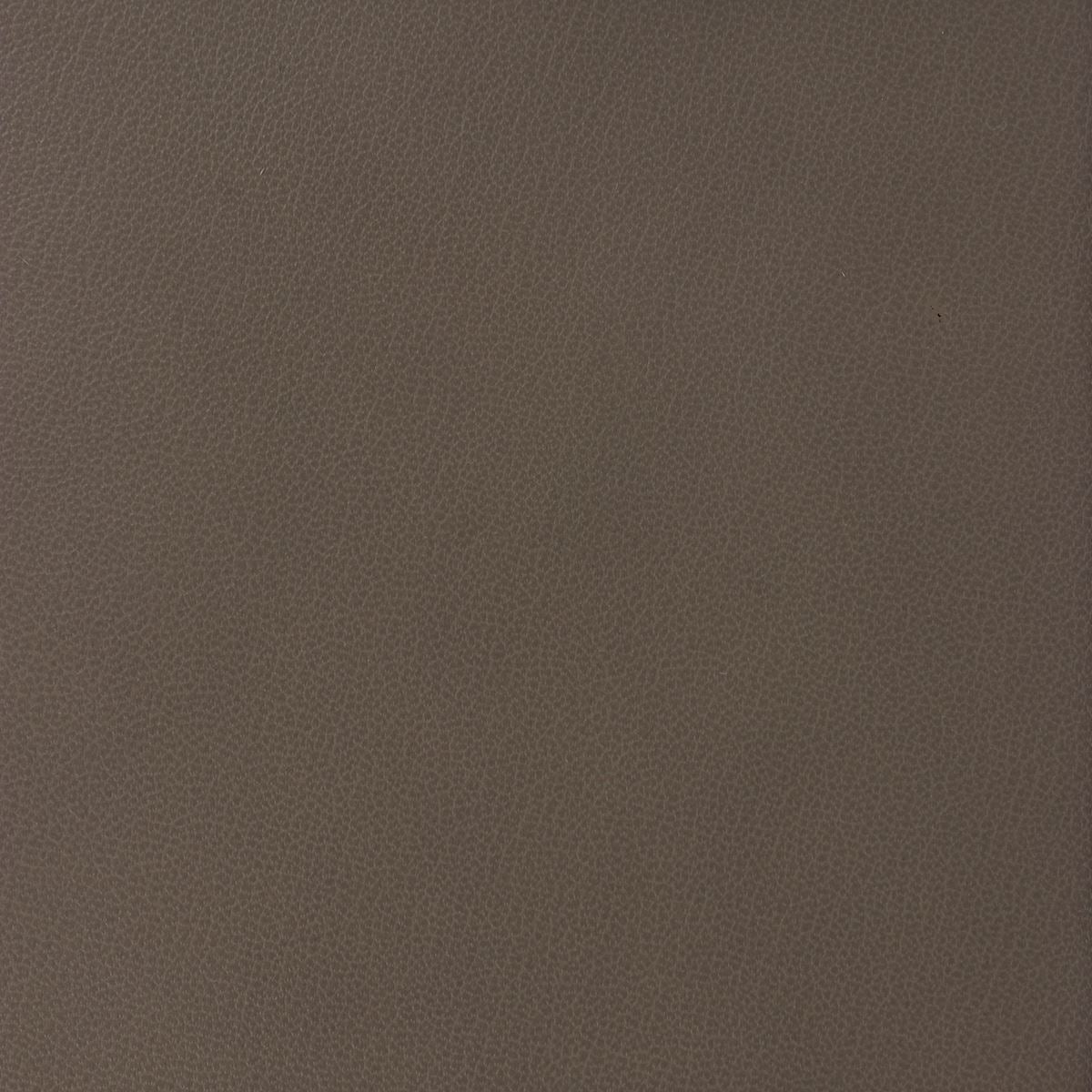 Peau de cuir de vachette grain fin - MARRON BRONZE N53