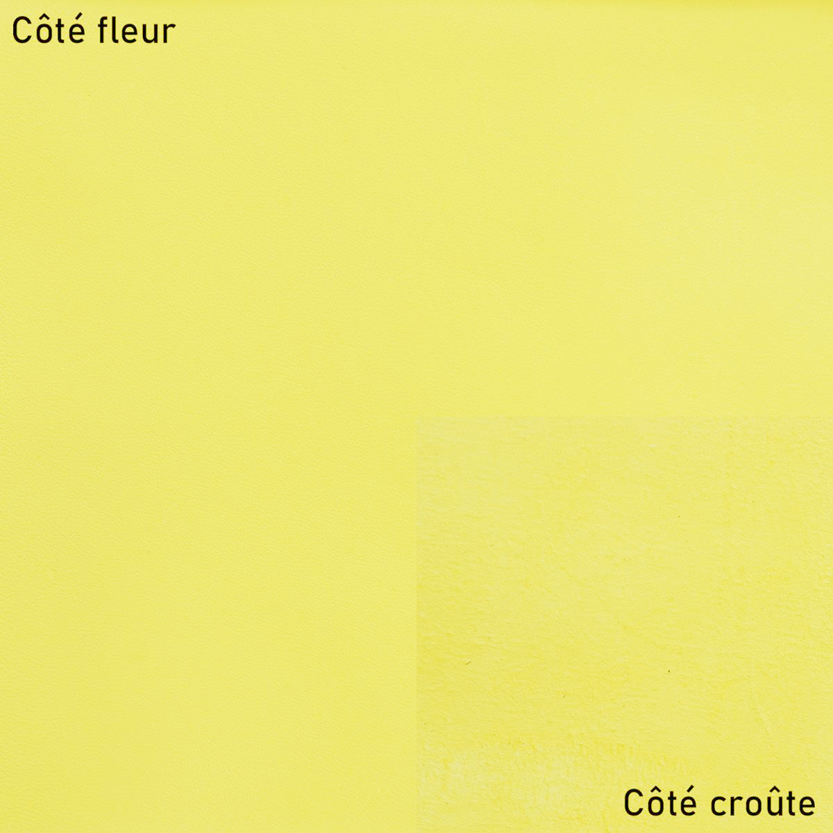 Peau de cuir de chèvre nappa - JAUNE POUSSIN O27