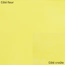 Peau de cuir de chèvre nappa - JAUNE POUSSIN O27